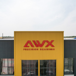 Shandong Awx Bearing  Co., Ltd. γραμμή παραγωγής του κατασκευαστή