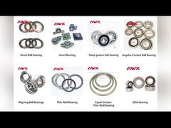 Στρογγυλοφόρα